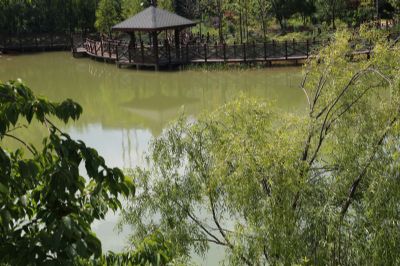 雙江自治縣行政服務(wù)中心西北側(cè)城市公園建設(shè)項(xiàng)目