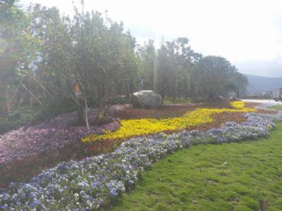 隆陽(yáng)區(qū)壩區(qū)綠化景觀(guān)提升施工項(xiàng)目